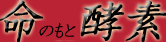 命のもと酵素